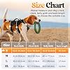 rabbitgoo Escape-Proof Dog Harness Small Dog with Handle, Anti-Pull Reflective Working Service Pets Vest, Breathable Pets Vest, Adjustable Lift Support Body Harness Outdoor, S, Black