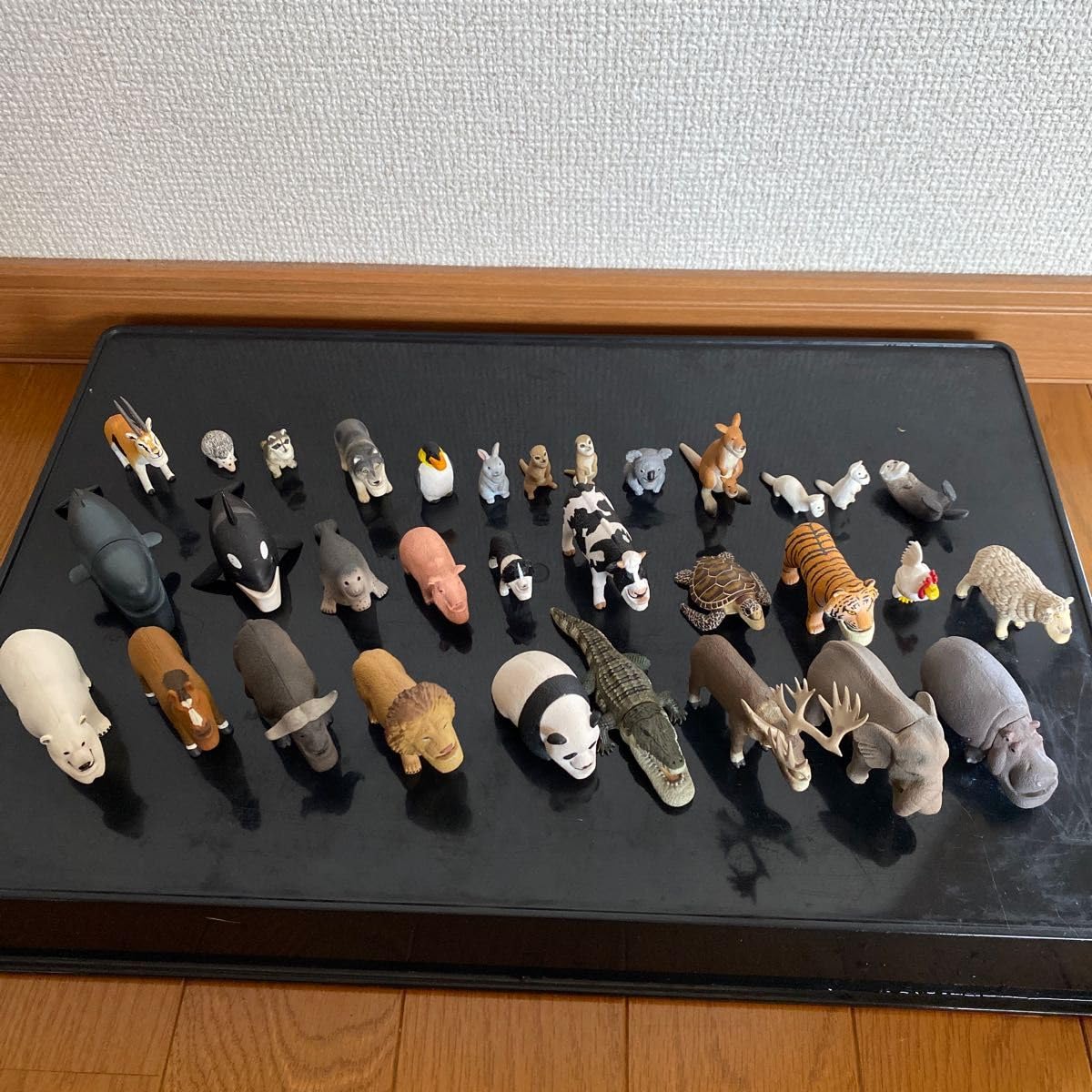 Amazon.co.jp: シャクレルプラネットコンプリート : おもちゃ