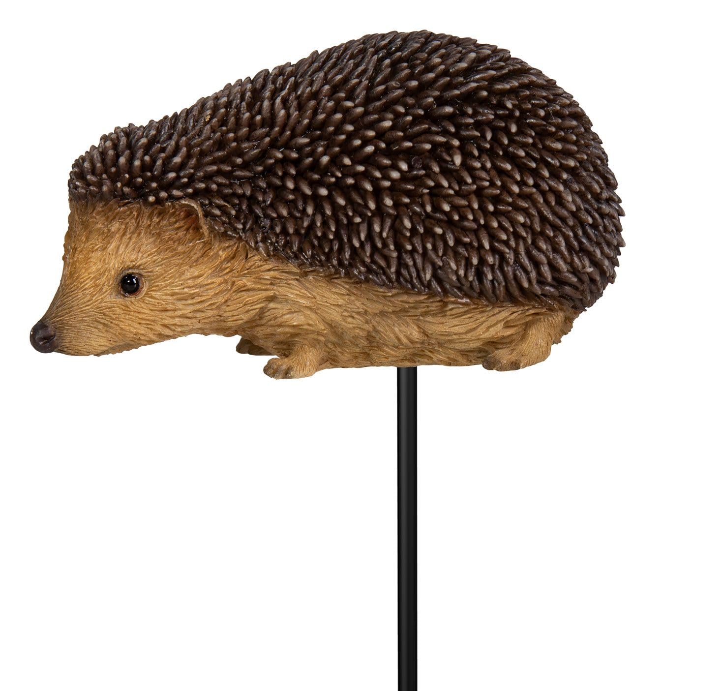 Vivid Arts - Hedgehog Plant Pal - PLP-133
