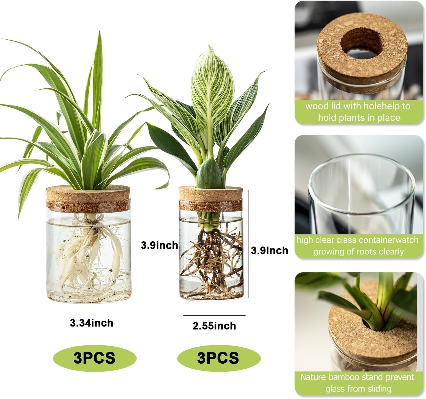 Plant Propagation Station,Hydroponic Glass Container Vase 2 Sizes Planter Propagated Jars for Desks, Houses, Garden Decorations,Home Kitchen Decorations and Gifts cu.20.5 (6pcs) - Image 2