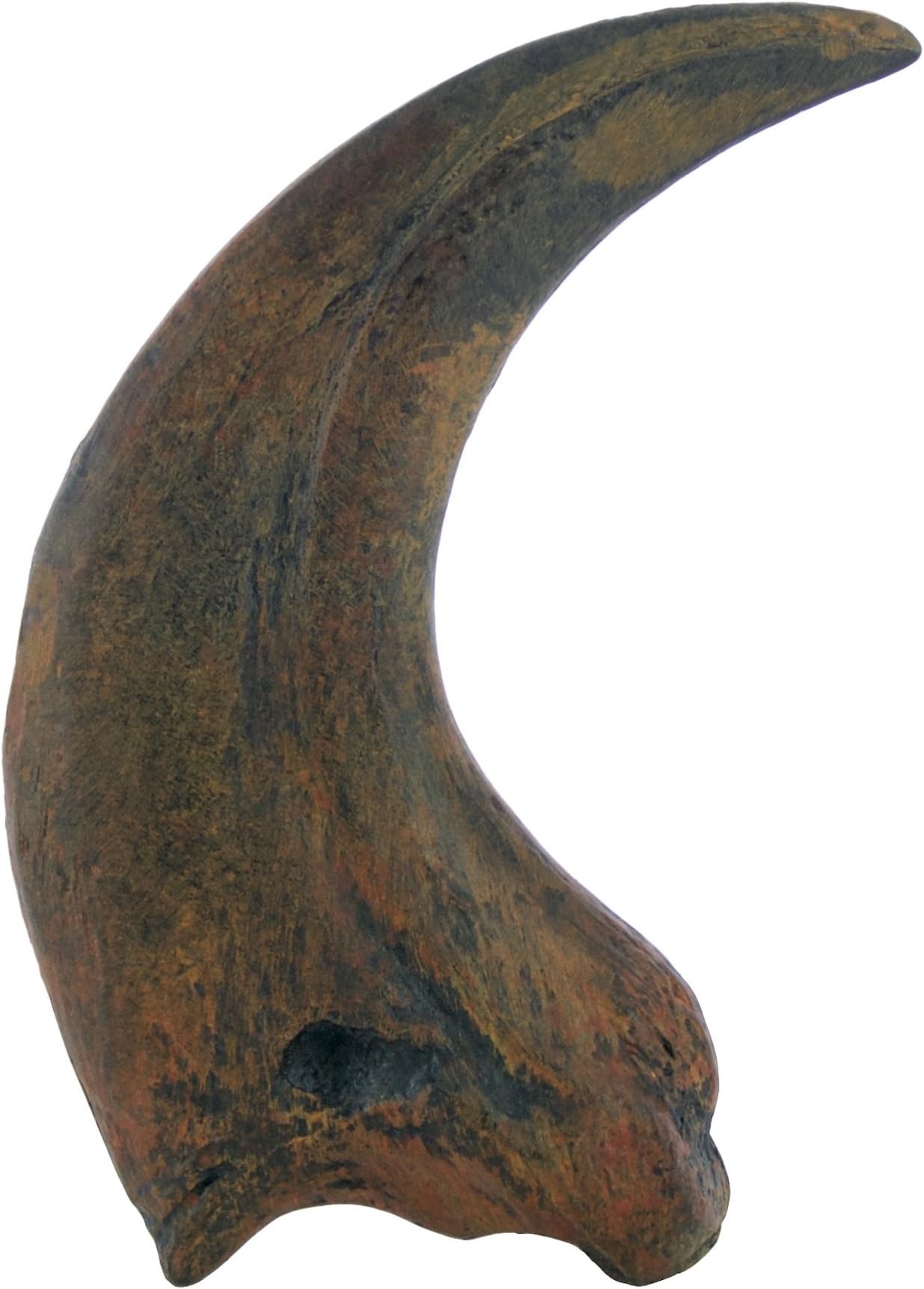 TRIASSICA Raptor Dinosaur Claw Fossil Replica