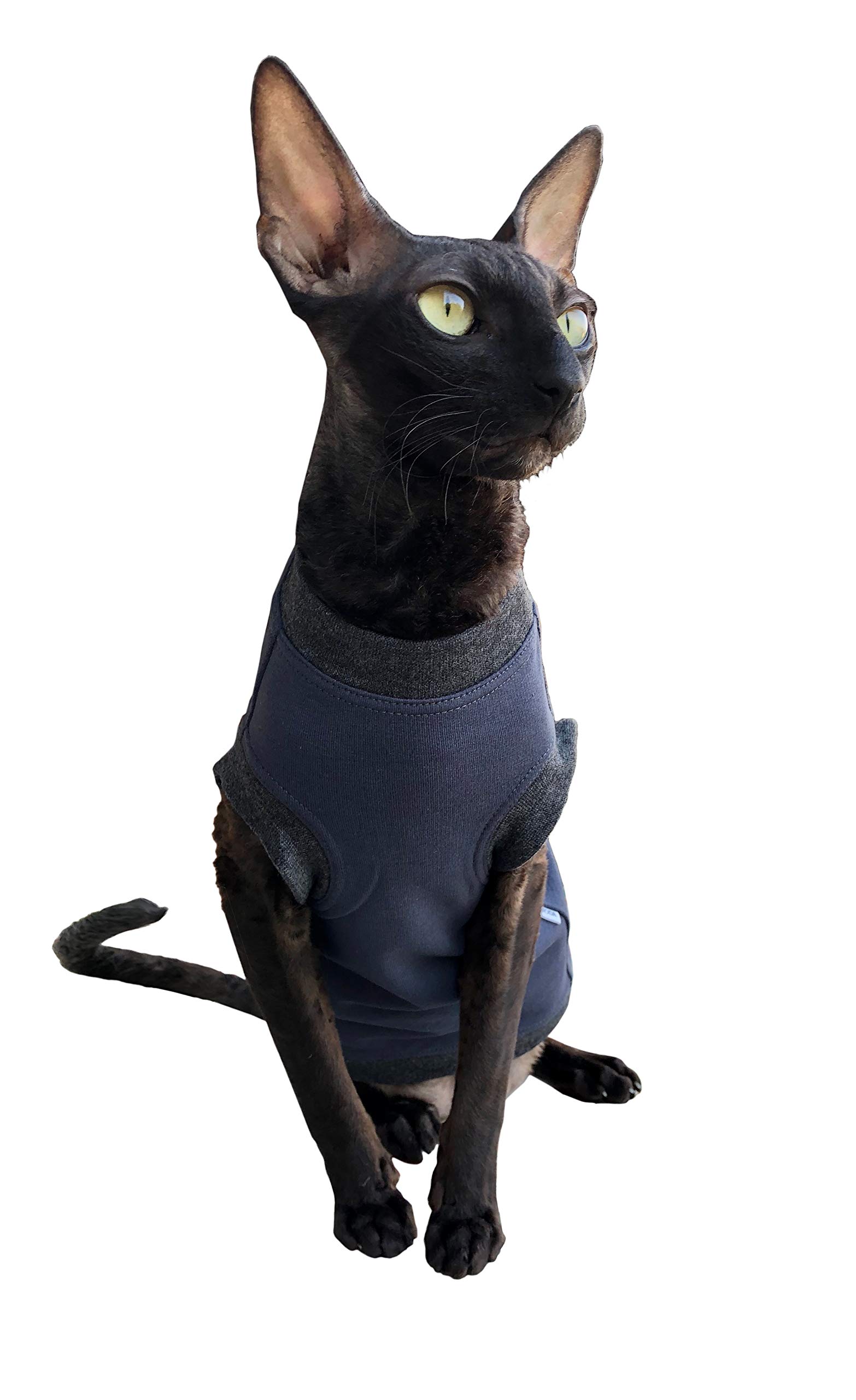 Chandail pour chat bleu foncé Boss XL vêtement hiver grand chat
