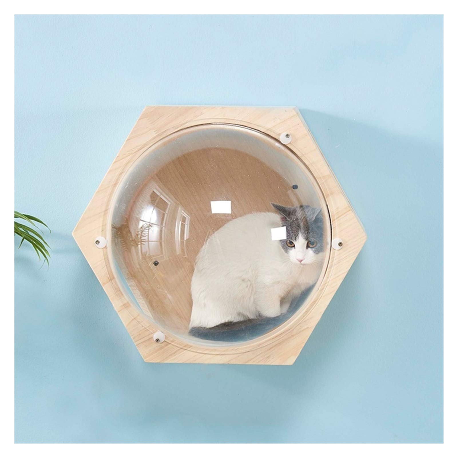 xiaofeng214 Marco de Escalada para Gatos montado en la Pared, Juguete para Gato, cápsula Espacial, casa de Juego, Cueva, Gatito, Cama de Juguete, Muebles de Madera para Mascotas (Color : Hexagon)