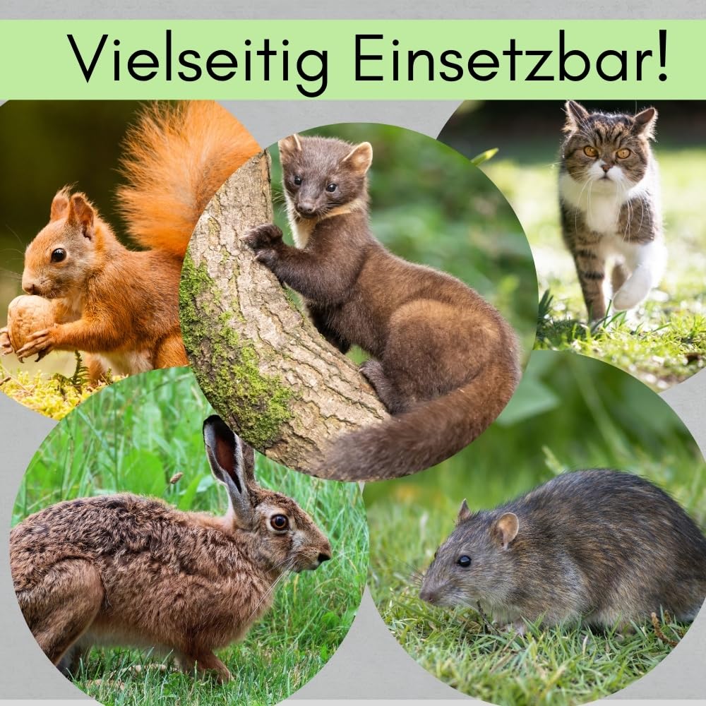 2er Set Fuchsfalle Einzeltür Lebendfalle Marder Waschbärfalle Eichhörnchenfalle Drahtfalle Tierfalle Hasenfalle Wetterfest 80