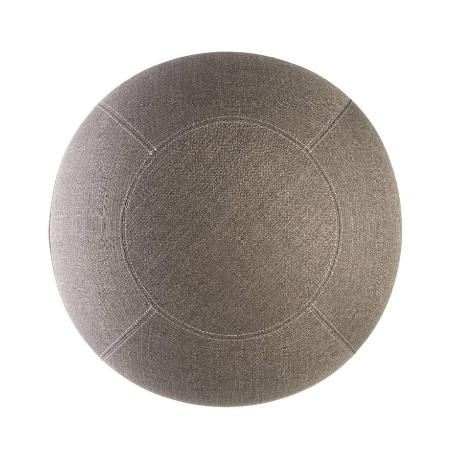 Amazon.com: Bloon Paris Bloon Desk Ball Chair 25.5in | Back