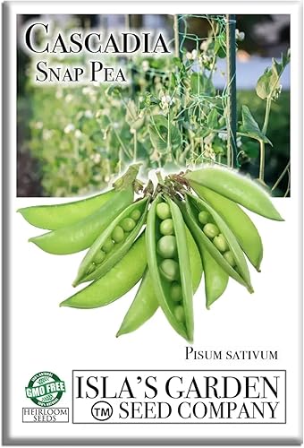 Cultiva crujientes y dulces guisantes cascadia: más de 50 semillas de reliquia sin OMG de Isla's Garden Seeds, cápsulas tiernas para aperitivos,