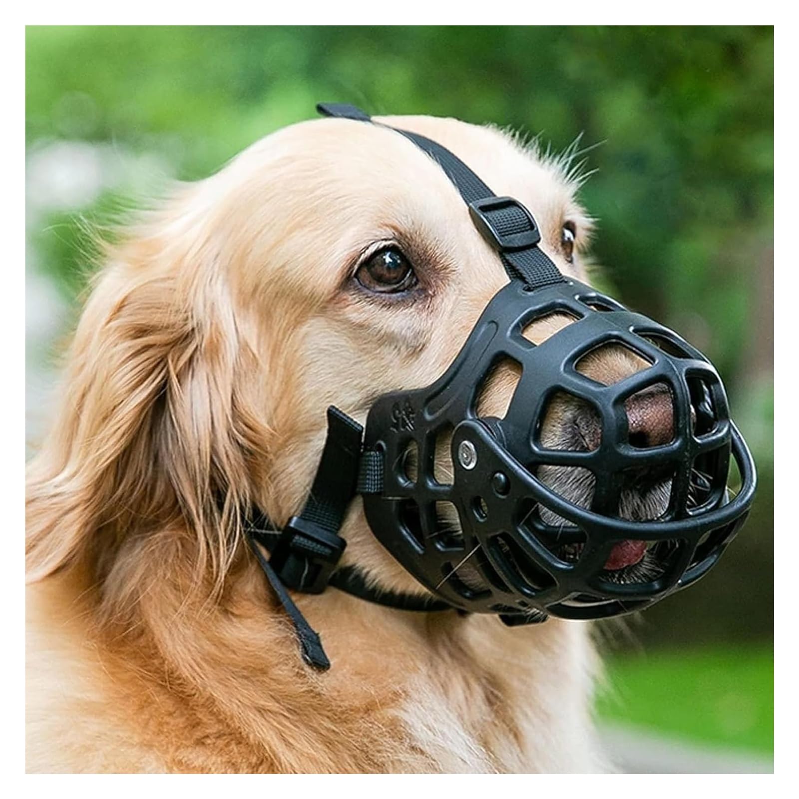 BTYQKZVPM Leather Mouthguard for Biting Chewing, Dog Muzzles Silicone Muzzles for Medium Dogs,Eating and Drinking can be Controlled,for Small,Medium and Large Dogs,Breathable and Adjustable(S)