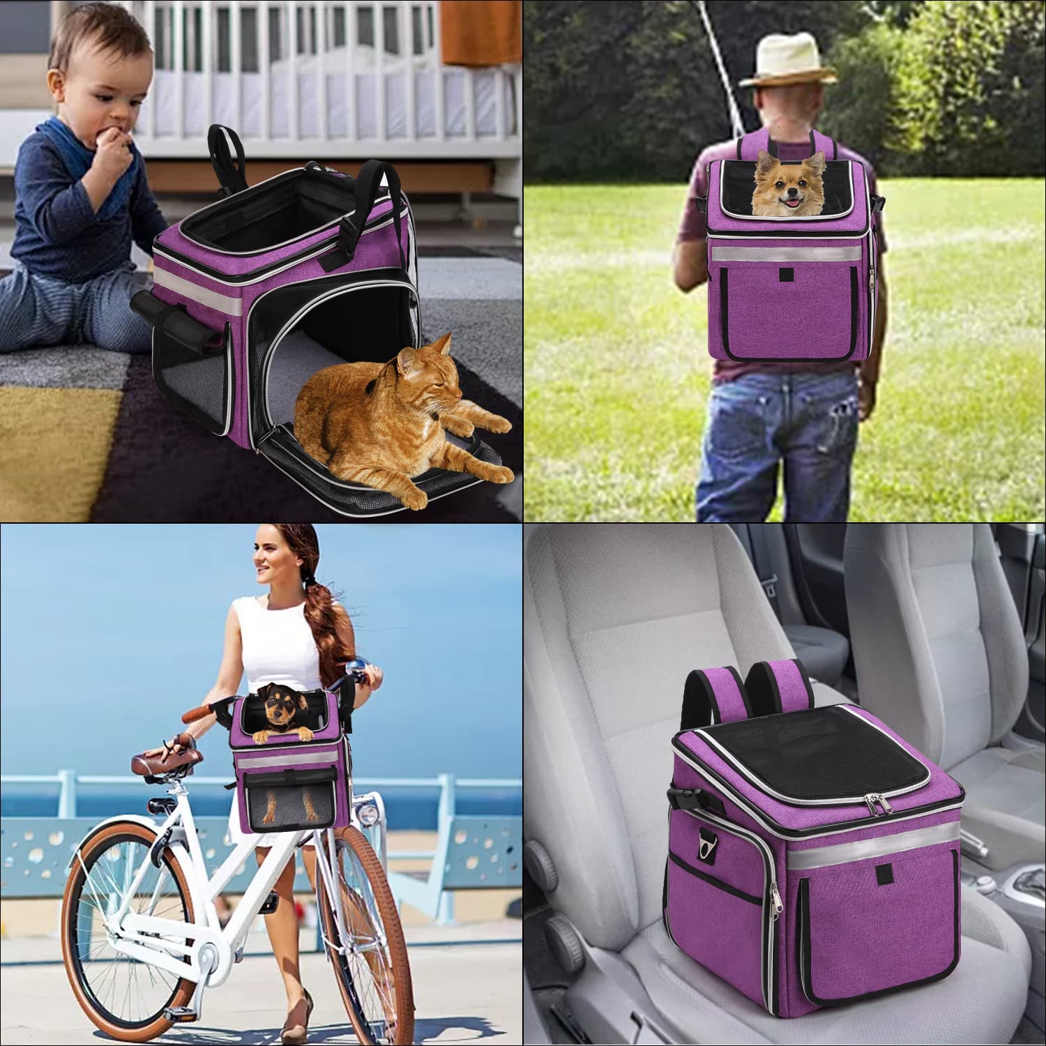KGMCARE Haustier Fahrradtasche für Hunde Katzen, Haustier Rucksäke mit Vorne Atmungsaktiv Netzfenster, Faltbarer Raum Tragetasche für Kleine Mittlere Hunde und Katzen 6kg (Lila) Haustier