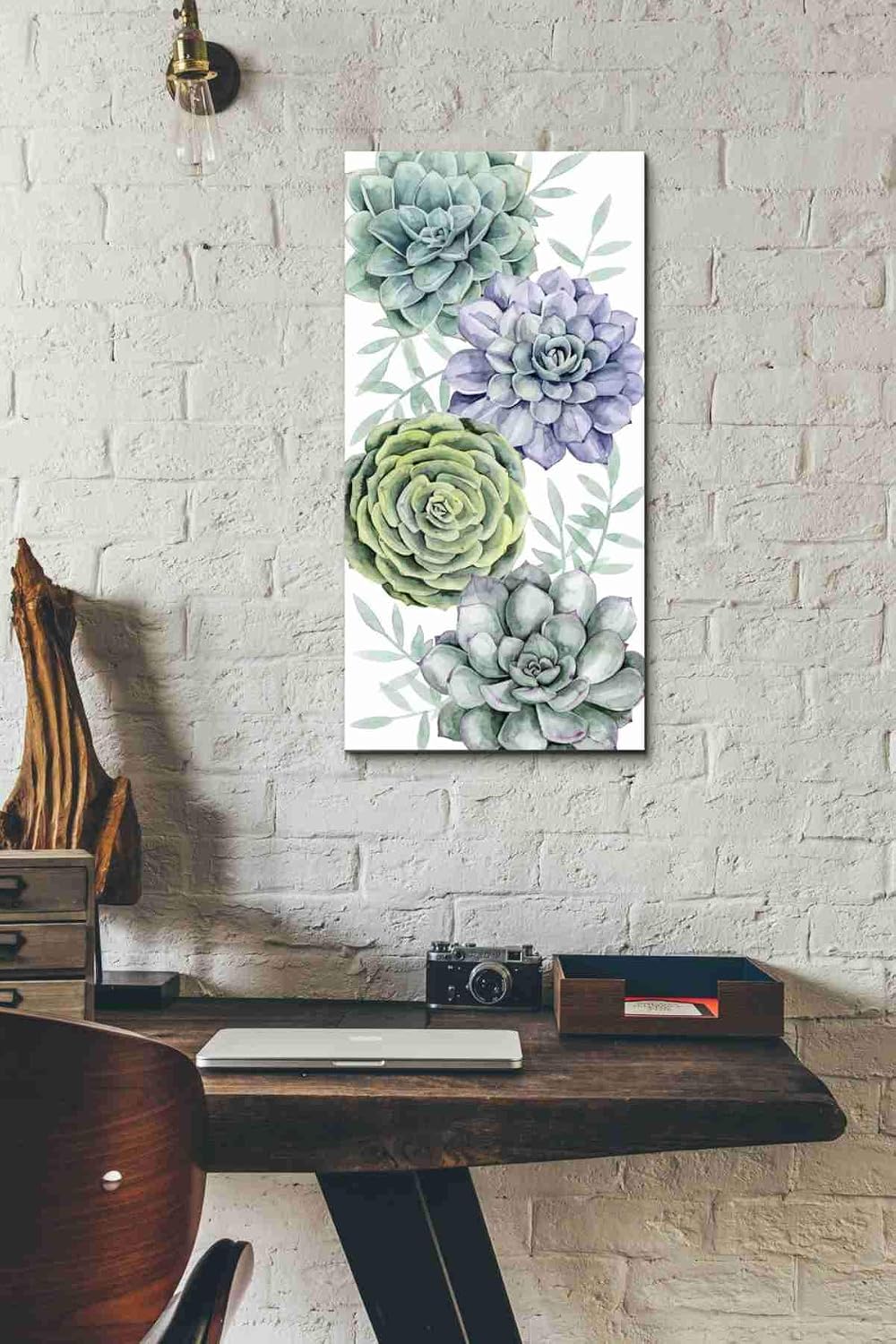 Epic Graffiti 'Succulent Collection B' by Grace Popp Canvas Wall Art, 12"x24"