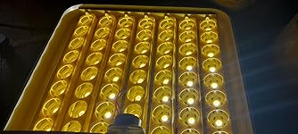 Review Image by mightaswellenjoylife mightaswellenjoylife