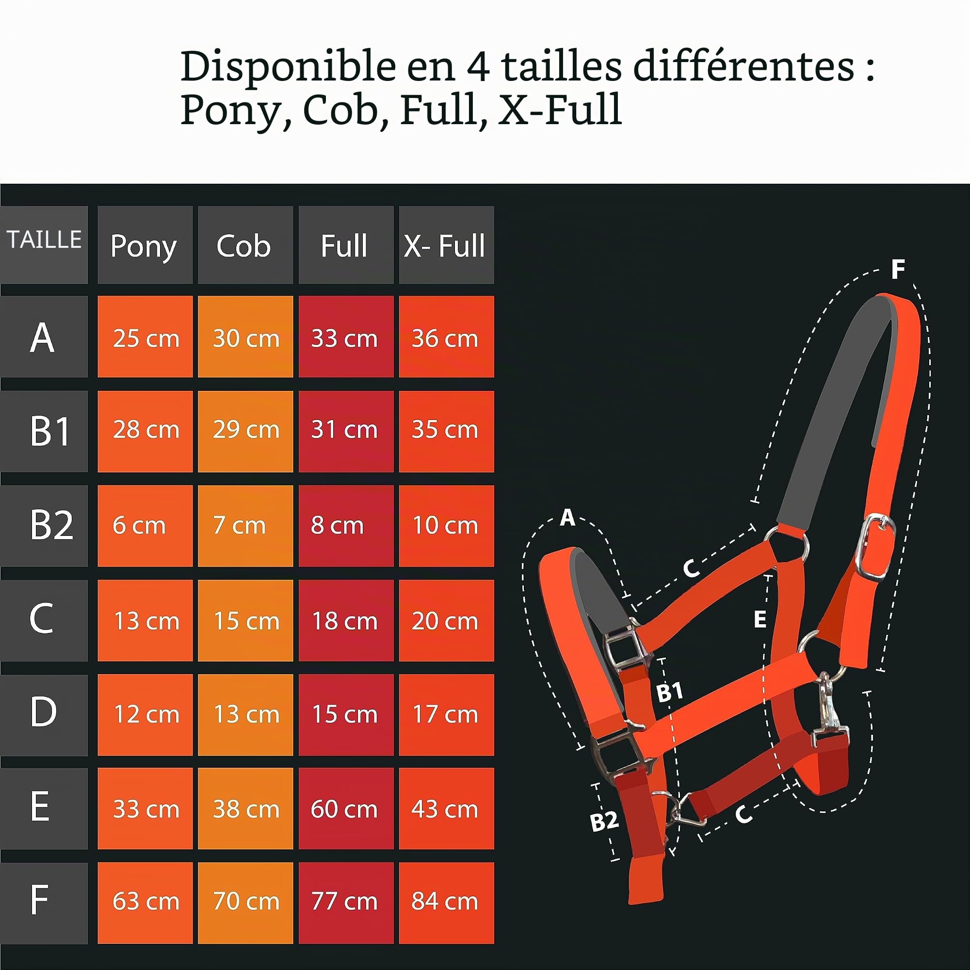 Pferdelinis Licol pour Warmblut, Vollblut, Kaltblut, Pony – Licol d’écurie, licol de pâturage, boucles à ardillon réglables 2 fois, sûr et résistant (Noir, Vollblut (Cob))