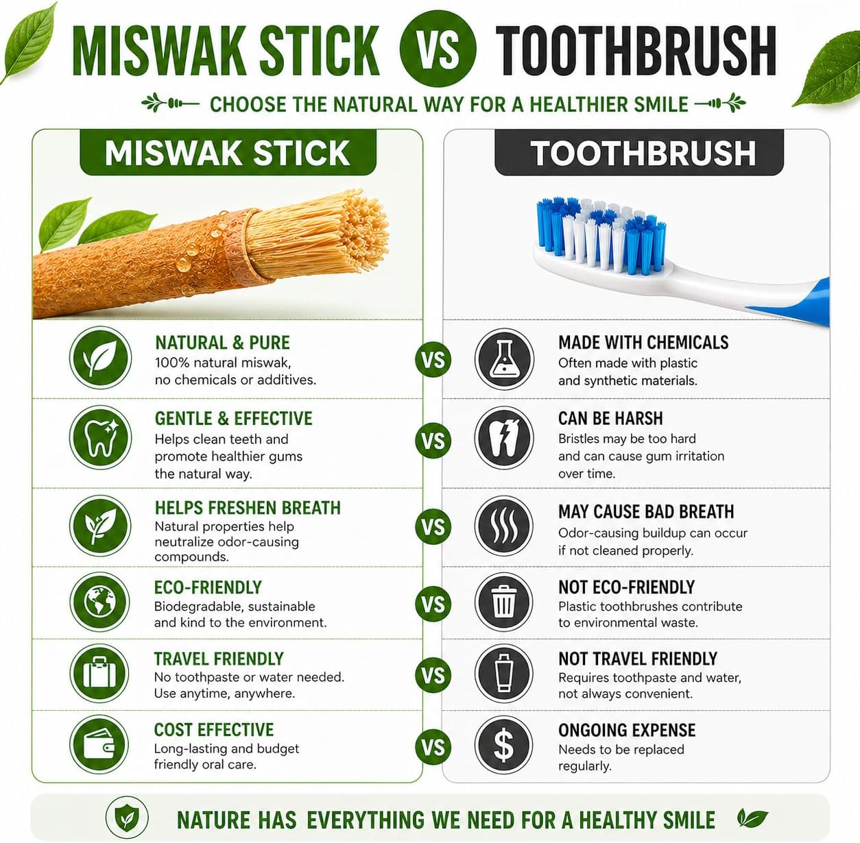 Miswak Sticks for Teeth Organic | Siwak Toothbrush Stick | Sustainable Tooth Stick for Oral Care | Natural Chew Sticks for Humans | Meswak Miswak Holder-Free | African Toothbrush Stick | مسواك (1) image 4