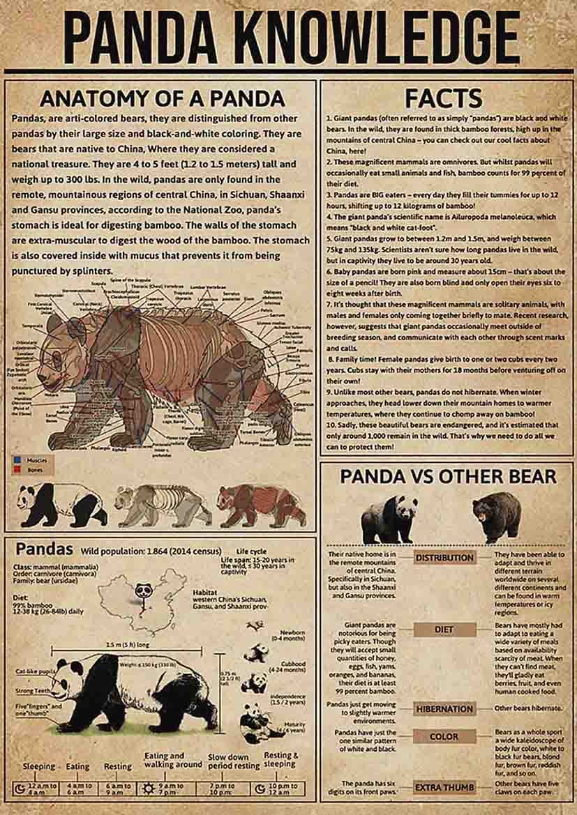 rayprint Panda Knowledge Metal Tin Signs Anatomy Of A Panda Retro Poster Children Education Science Home Classroom Office Wall Decor 12x16 Inches