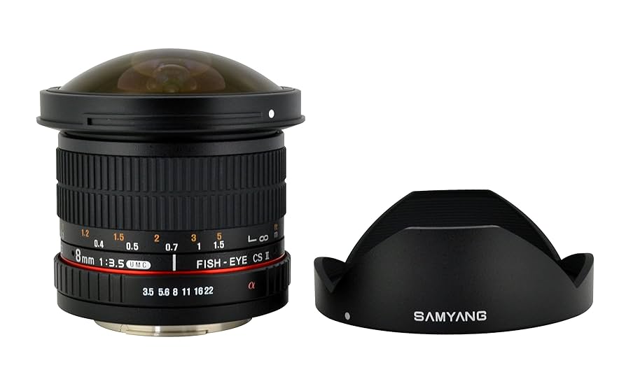 Amazon.com : Rokinon 8mm f/3.5 HD Fisheye Lens for Sony E