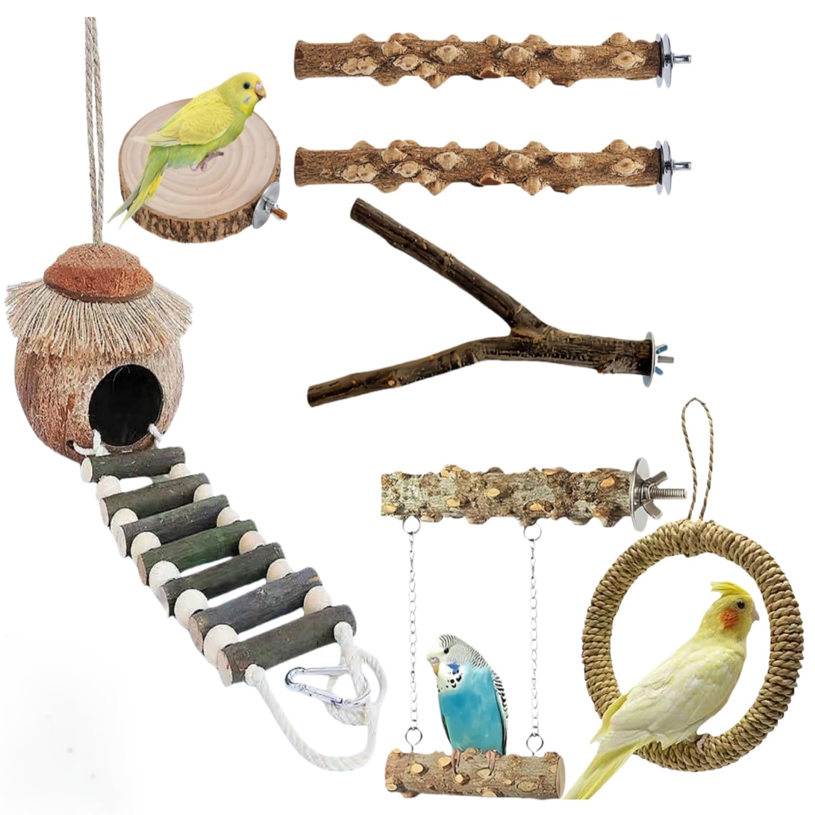 Kit d'Accessoires pour Oiseaux, Nid de Noix de Coco Naturelle avec Perchoirs en Bois de Sichuan, Balançoire et Plateforme, Adapté aux Perruches, Perroquets et Oiseaux de Petite Taille