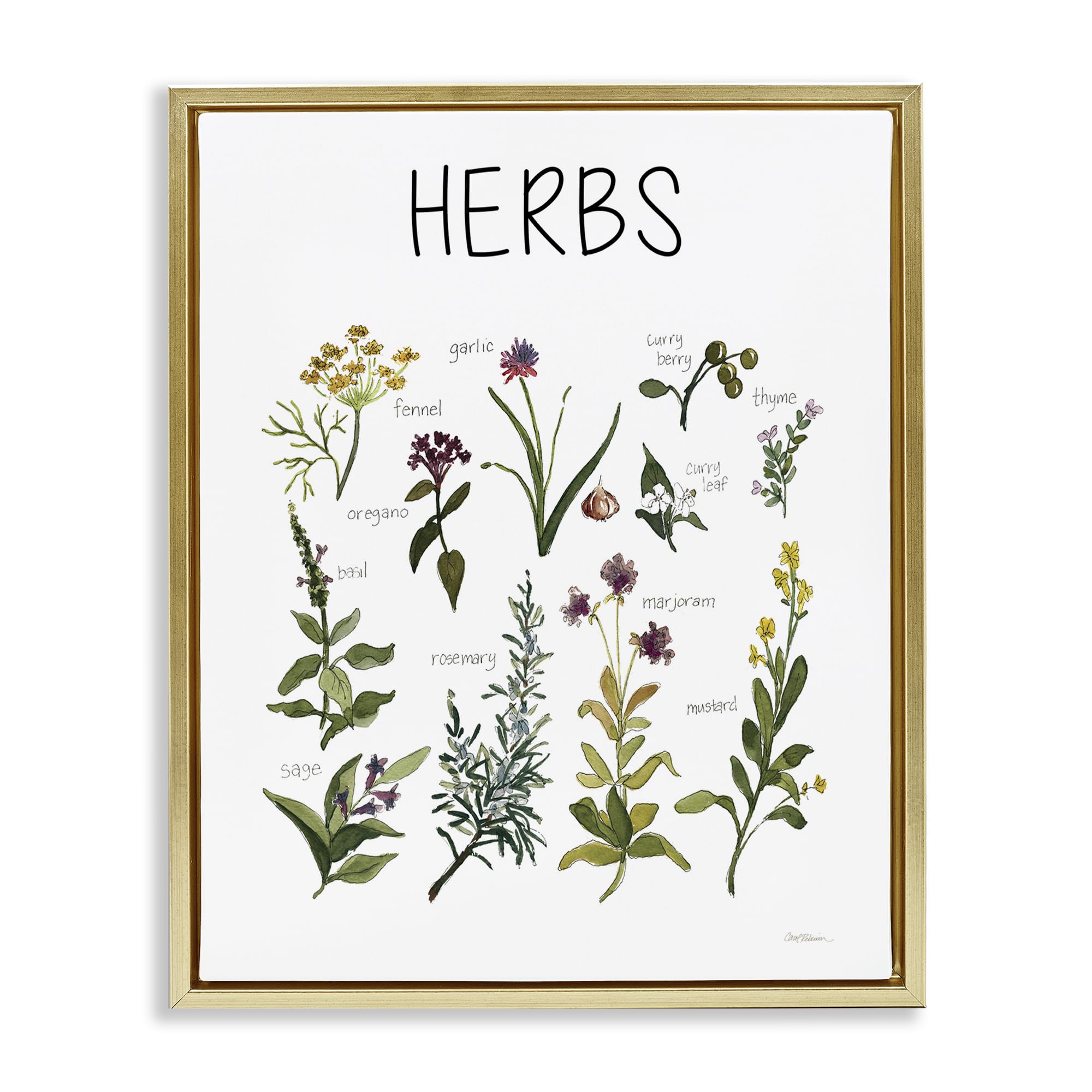 Stupell Industries Herbs Identification Chart 'Herbs Identification Chart', Floating Frame Canvas Art, Gold, 25 X 31 Inches, Easy To Hang And Sturdy, Made In Usa, By Carol Robinson