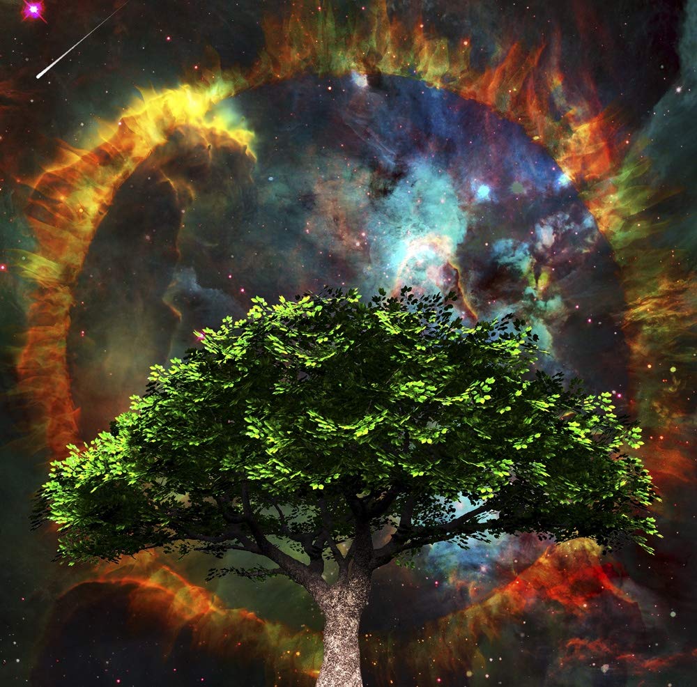 Surreal spiritual composition. Green tree and vivid colorful universe at the background. Poster Print by Bruce Rolff/Stocktrek Images (12 x 12)