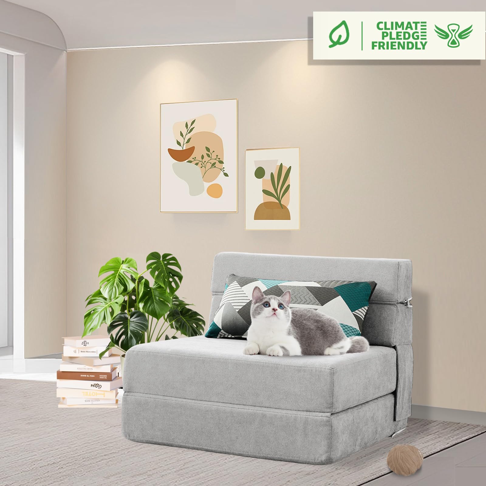ANONER Folding Sofa Bed Couch Memory Foam Fold Out Chair Bed with