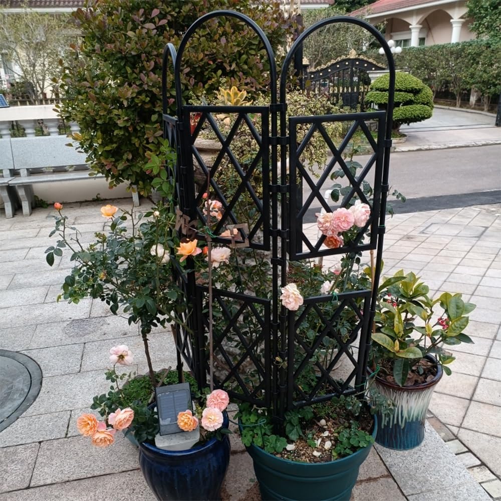 Garten Spalier für Kletterpflanzen, Schwere Pflanzenstützpfähle, Ideal für Pflanzen Rankgitter, Obstspaliere, Gemüse Rankhilfe, Blumen und Alle Arten Von Kletterpflanzen(Color:Black,Size:170*60cm/67*2