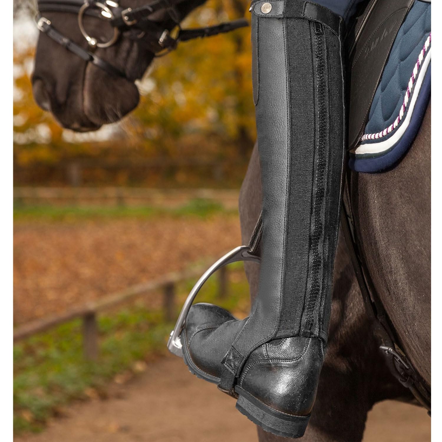 Mini Chaps Exclusive