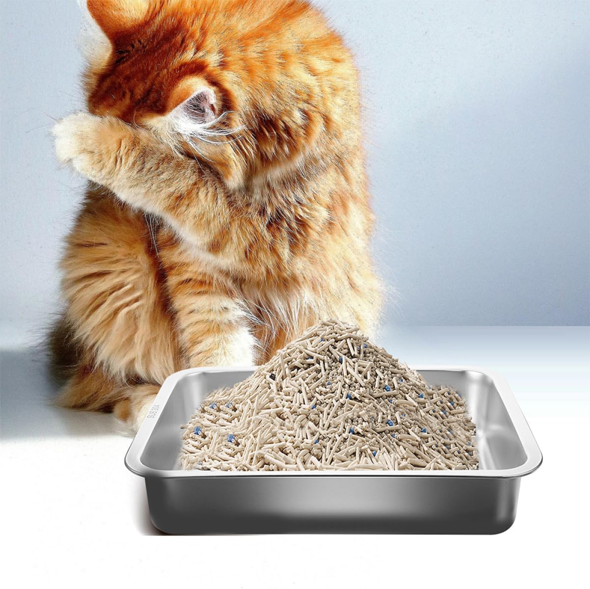 Stainless Steel Cat Litter Box Open Design Litter Pan for Cats Rabbits Convenient Storage for Litter Scoop Easy Portable Litter Box for Kittens and Small