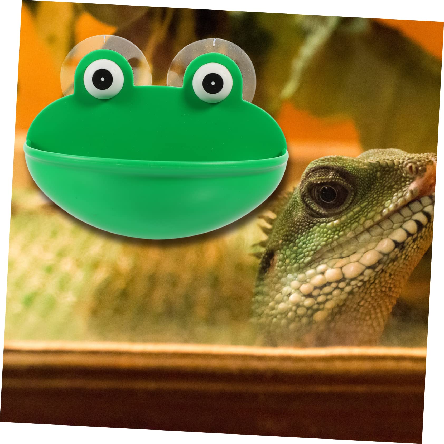DOITOOL 6piezas Plataforma Decorativa para Reptiles Descanso y Alimentación Terrario Soporte Multifuncional para Reptiles y Mascotas Accesorios Seguros y Duraderos para Terrarios