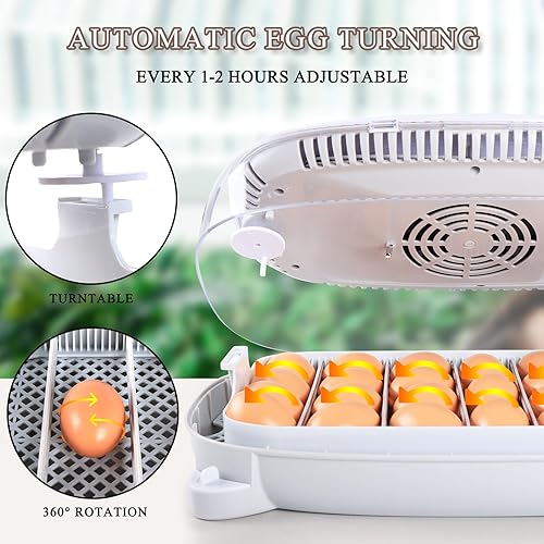 Miniatura 2 de Incubadora para incubar huevos, 24-50 huevos Máquina automática para criar aves de corral con control de humedad, torneado de huevos, vela de