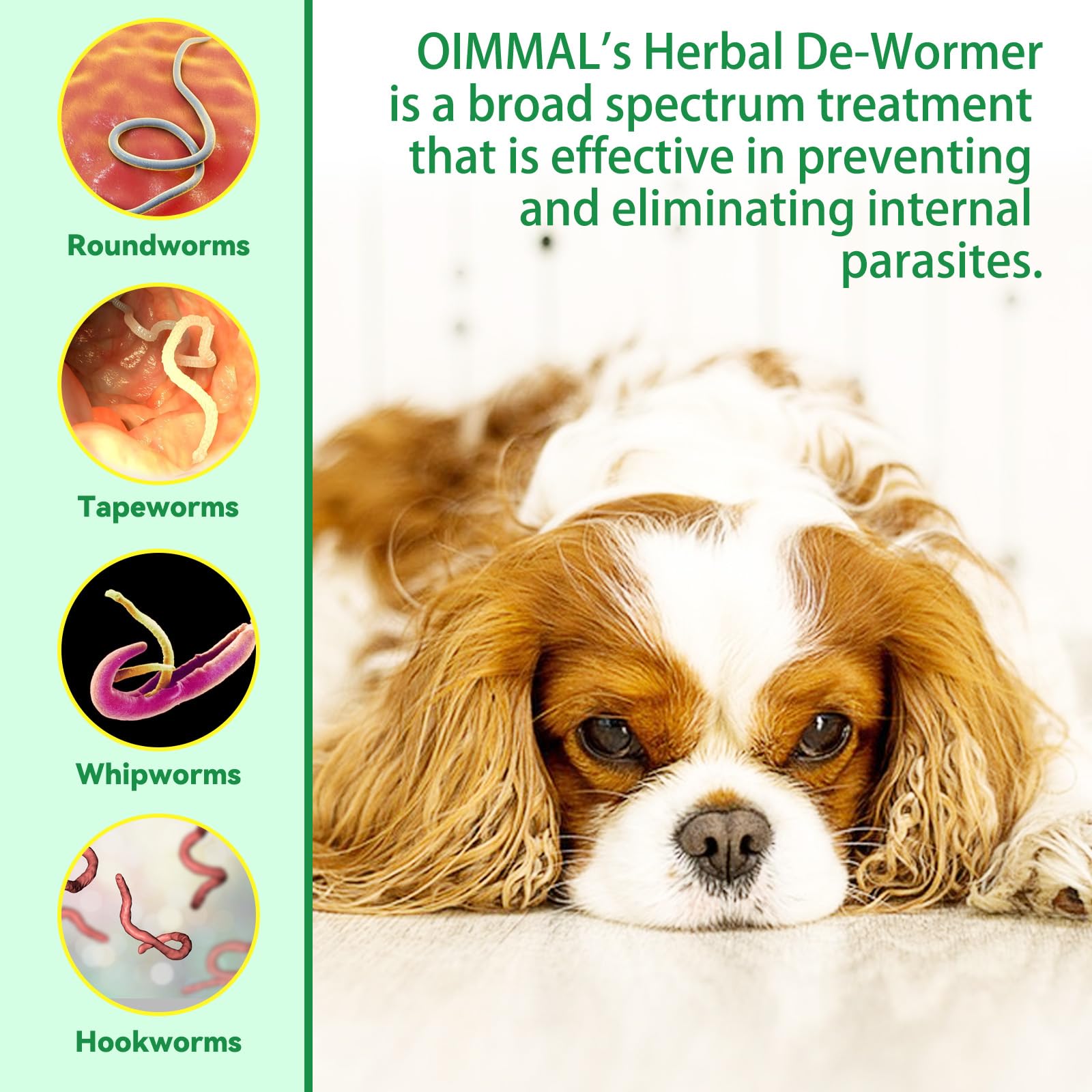60ml Dog Wormer Liquid, Natural Liquid Wormer for Dogs, Intestinal Tract Support Formula,Gentle & Effective Wormer for Dogs, for All Breeds and Size Dogs - Image 3