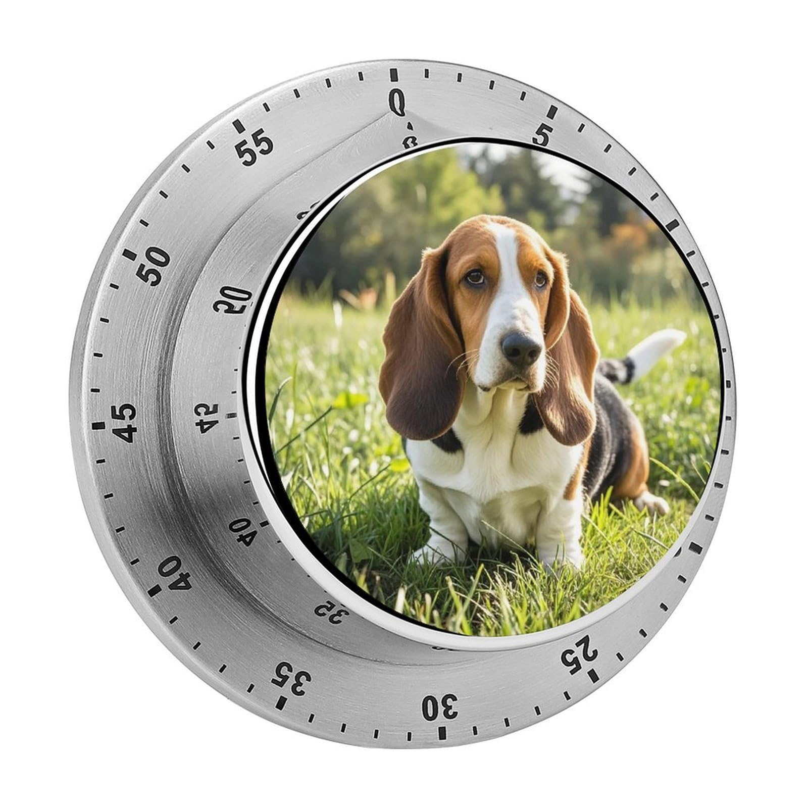 Basset Hound Timer with Loud Alarm Precision 60 Minute Wind Up Timer Portable Manual Countdown Timers Exquisite Stainless Magnetic Kitchen Timers for Cooking Chef Clock
