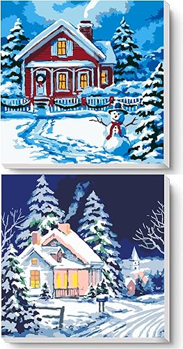 Neopalette 2 pinturas enmarcadas por números para adultos, pintura por números para adultos, kits de pintura por números para adultos, 2 pinturas de