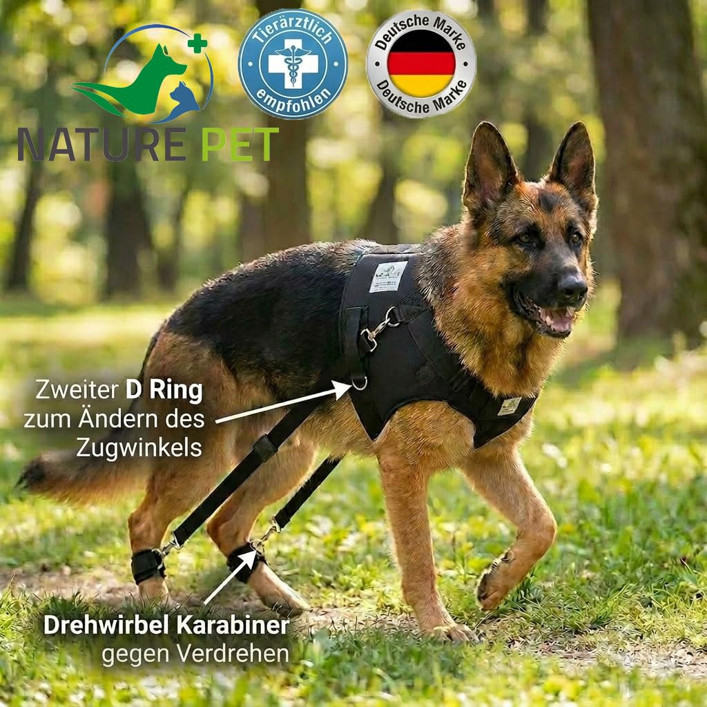 FlexiPander - Arnés de Entrenamiento para Perros con Problemas en la Cadera y en Las Patas traseras XL