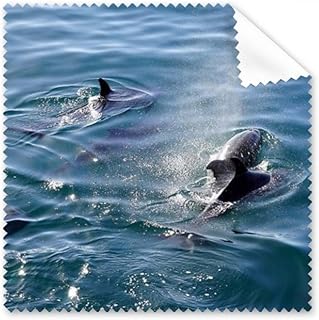 Ocean Killer Whale Nature Picture Cleaning Cloth Phone Screen Glasses Cleaner 5pcs