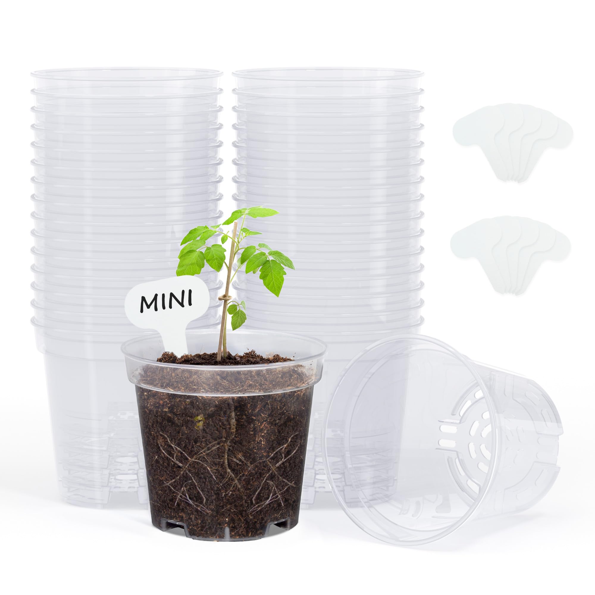 homenote 3 Inch Clear Nursery Pots with Drainage Holes and Labels (30 Pcs)