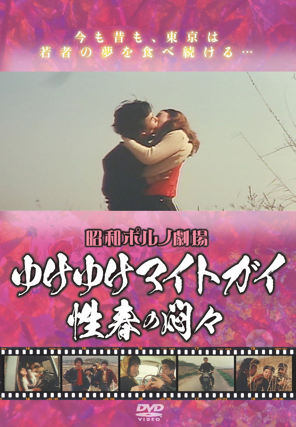 Japanese Movie - Yuke Yuke Might Guy Seishun No Monmon [Japan DVD] EGSP-4