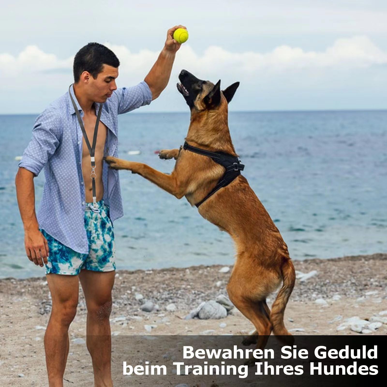 Lot de 2 De Sifflet Chien,Sifflet Ultrason Chien Anti Aboiement Fréquence Réglable Professionnelle, Haute Fréquence, Silencieux, avec Cordon pour L'éducation des Chiens