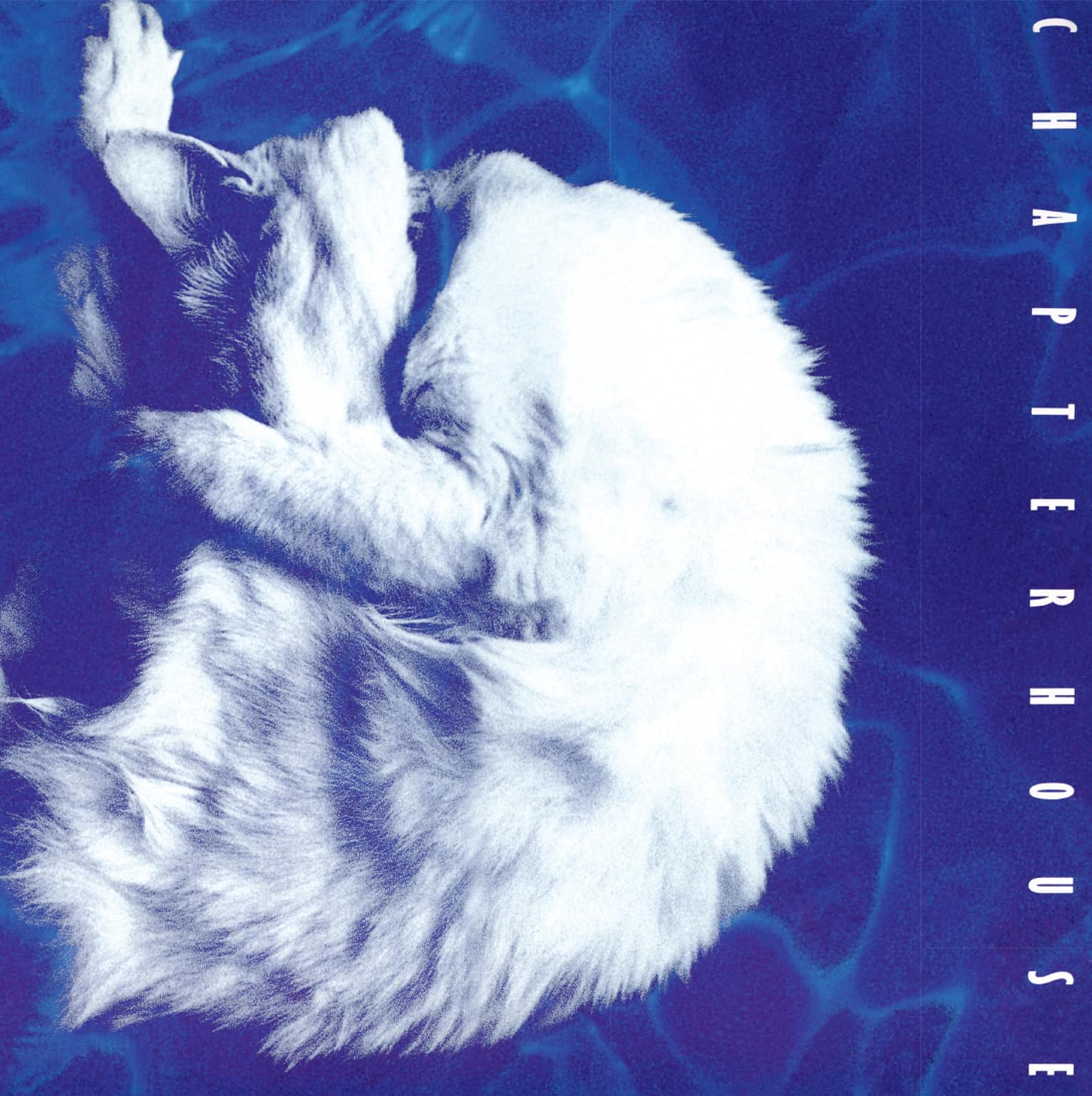 Chapterhouse LP Coloured Vinyl Whirlpool Limited 180-Gram White & Black Marble