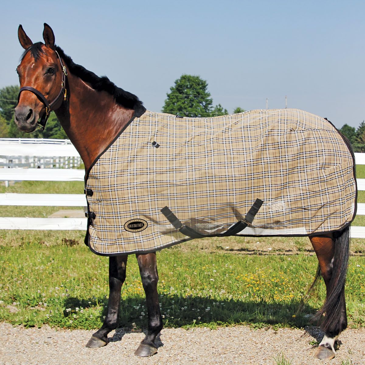 Country Pride Textilene Fly Sheet for Horses, Durable Breathable Mesh, Adjustable Double Buckle Front, Elastic Hind Leg Straps, Bias Surcingles, Black