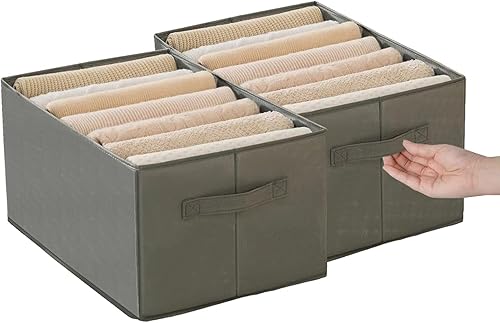 HASA zone Paquete de 2 organizadores de ropa de armario para ropa plegada organizadores de armario y almacenamiento organizador de suéteres y jeans