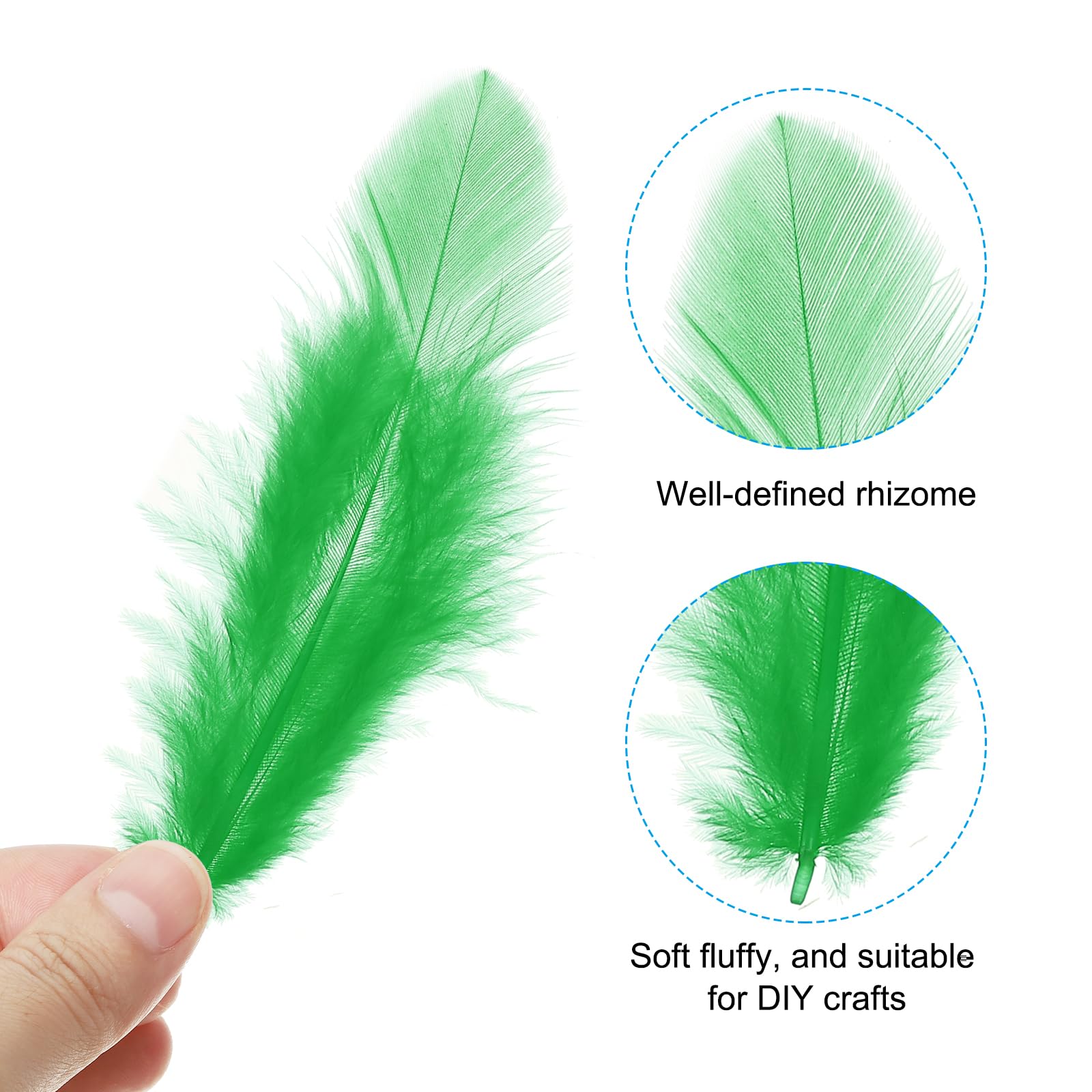 PATIKIL 1.5-3 Inch Saddle Hackle Rooster Feather - Image 3