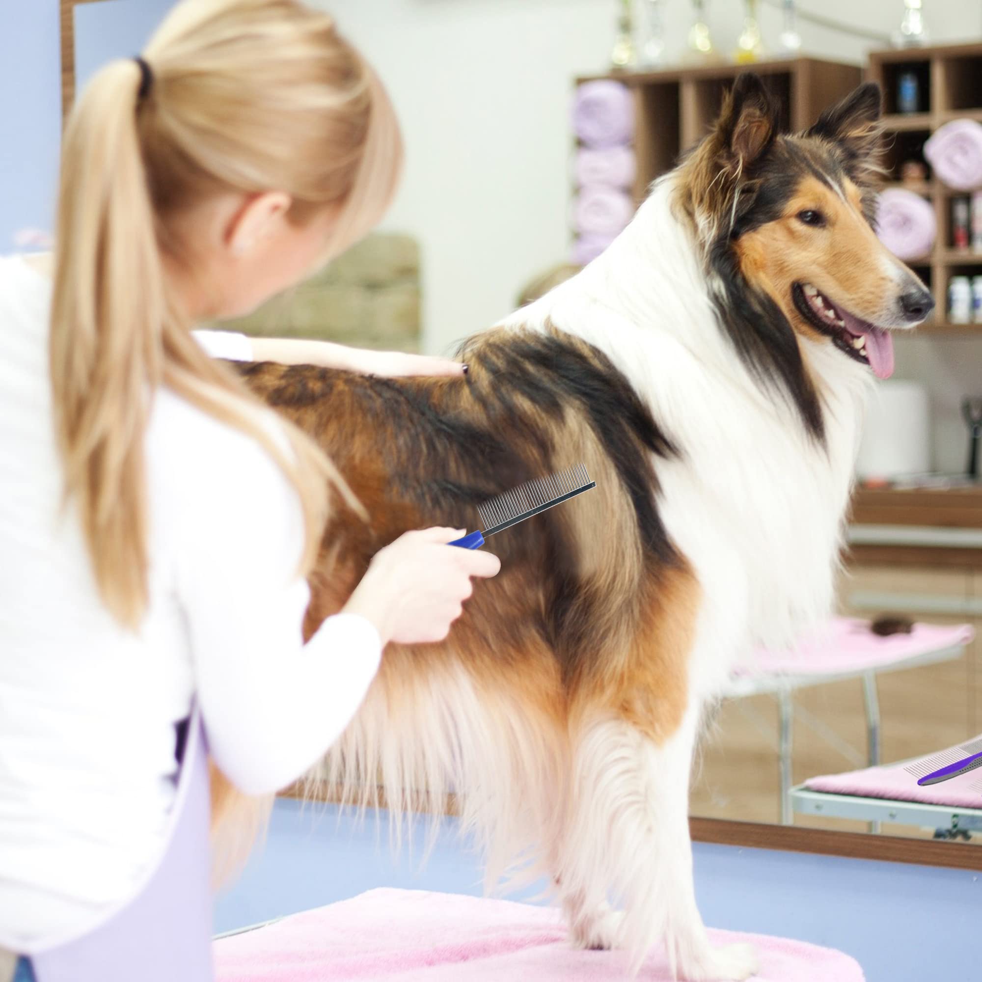 INSE P20 Pro Dog Grooming Kit Allinone Dog Grooming, 41 OFF