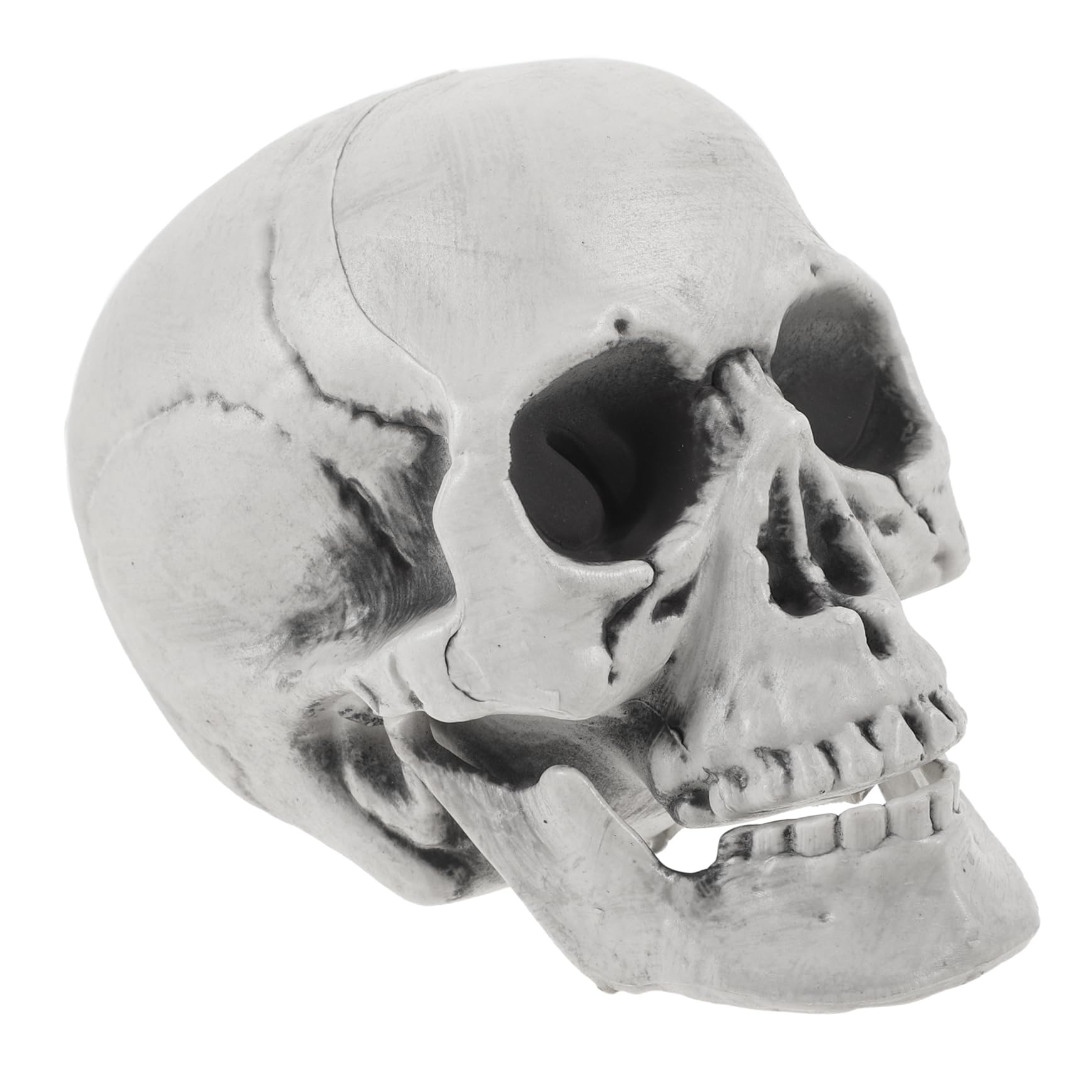 Calaveras de Halloween seguras para niños peluches de esqueleto que no se rompen