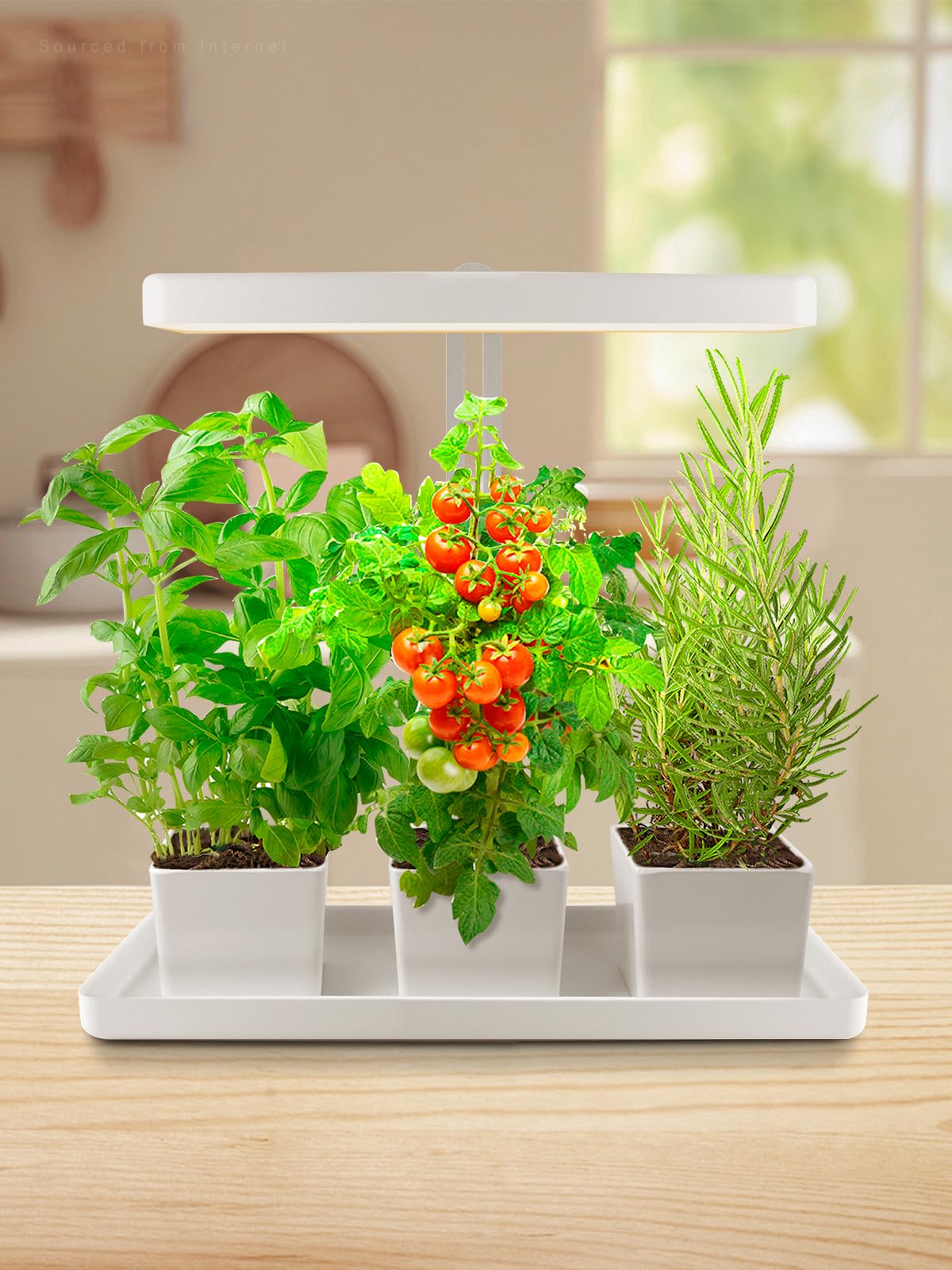 TORCHSTAR Indoor Herb Garden with LED Grow Light, Height Adjustable, 20W Growing System with Automatic Timer, CRI 95+, Full Spectrum Plant Light for Seeds, Vegetation, Home, White, No Pots or Plants