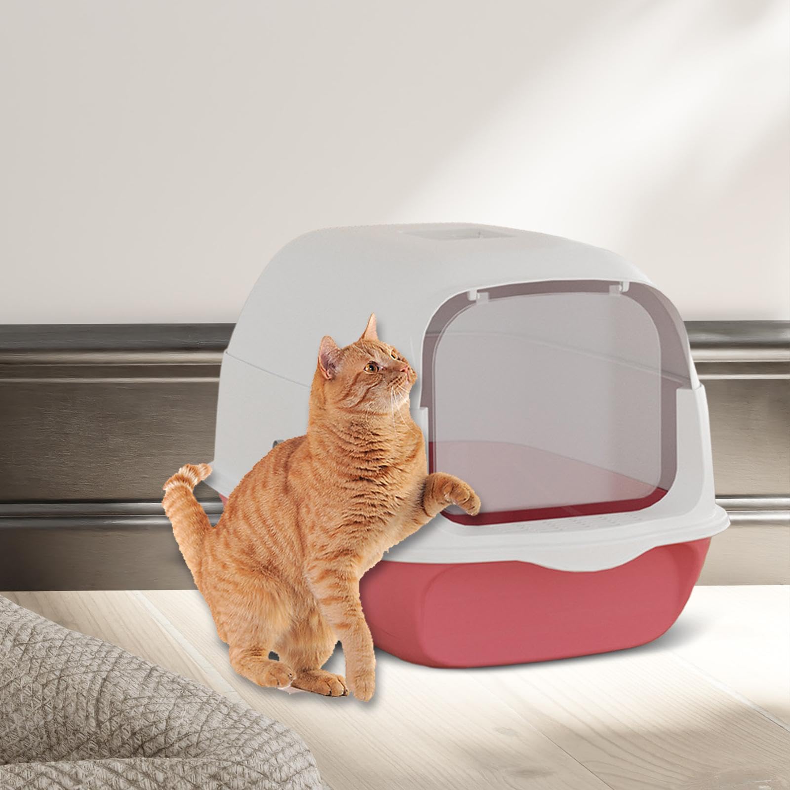 Bac à Litière Entièrement Couvert pour Chat, Pliable et de Sable, avec Porte, Cyan