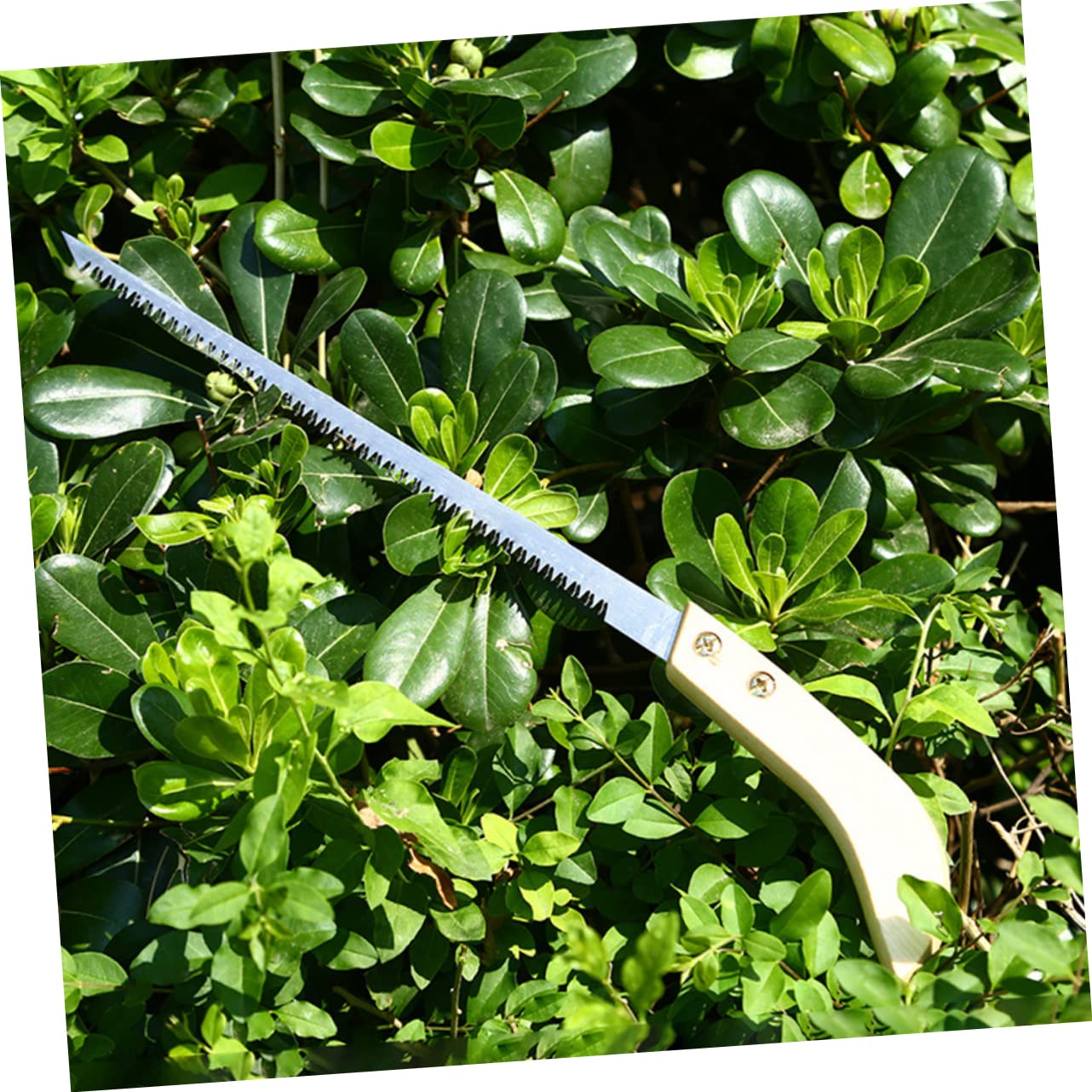 BESPORTBLE 3 Ensembles Scie D'Élagage De Jardin Scie À Tronçonner Portative À Métaux Japonaise Petite À Main À Main Pour La Coupe Du Bois Petite 2 pièces * 3