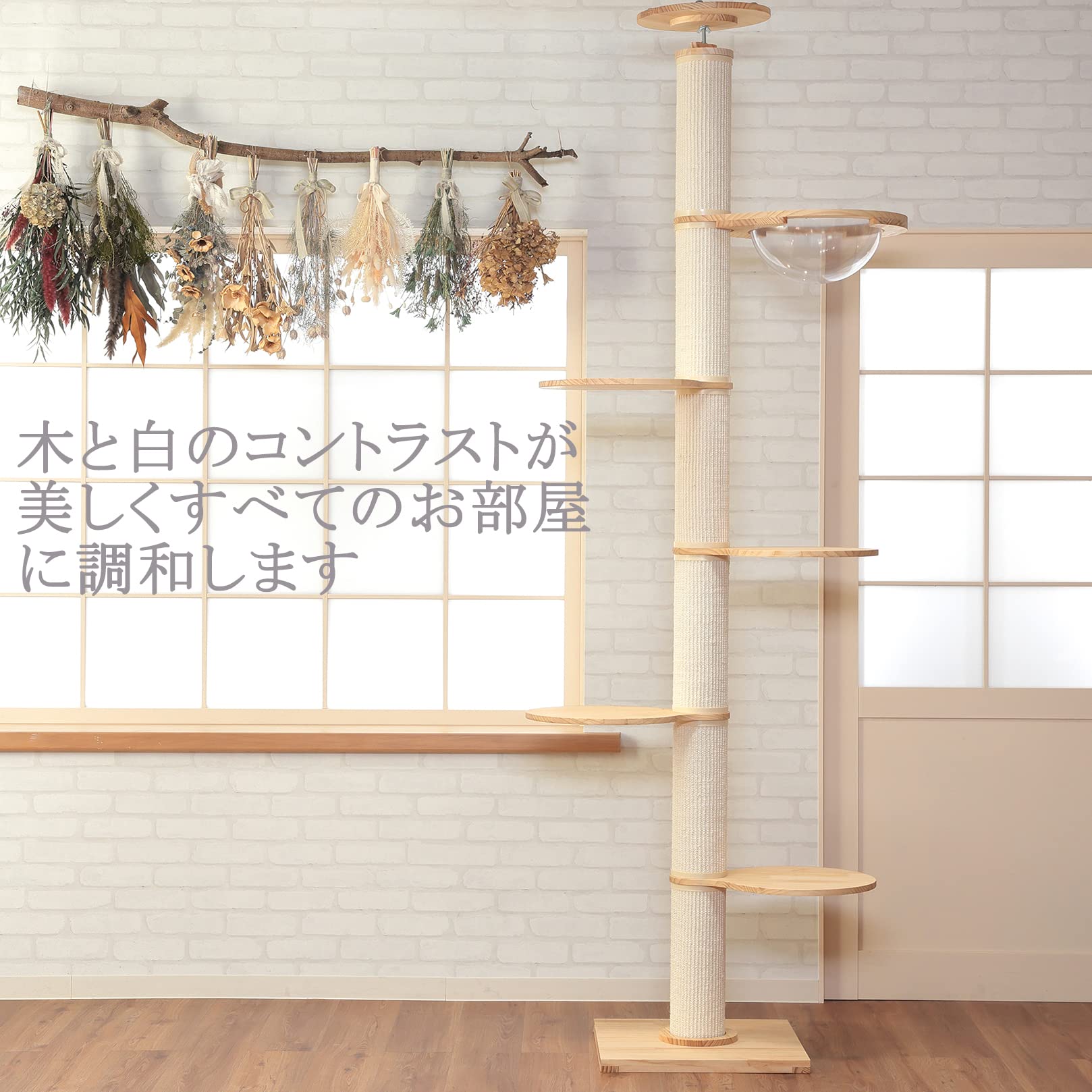 Amazon | 猫家族 突っ張り強化設計 倒れない キャットタワー