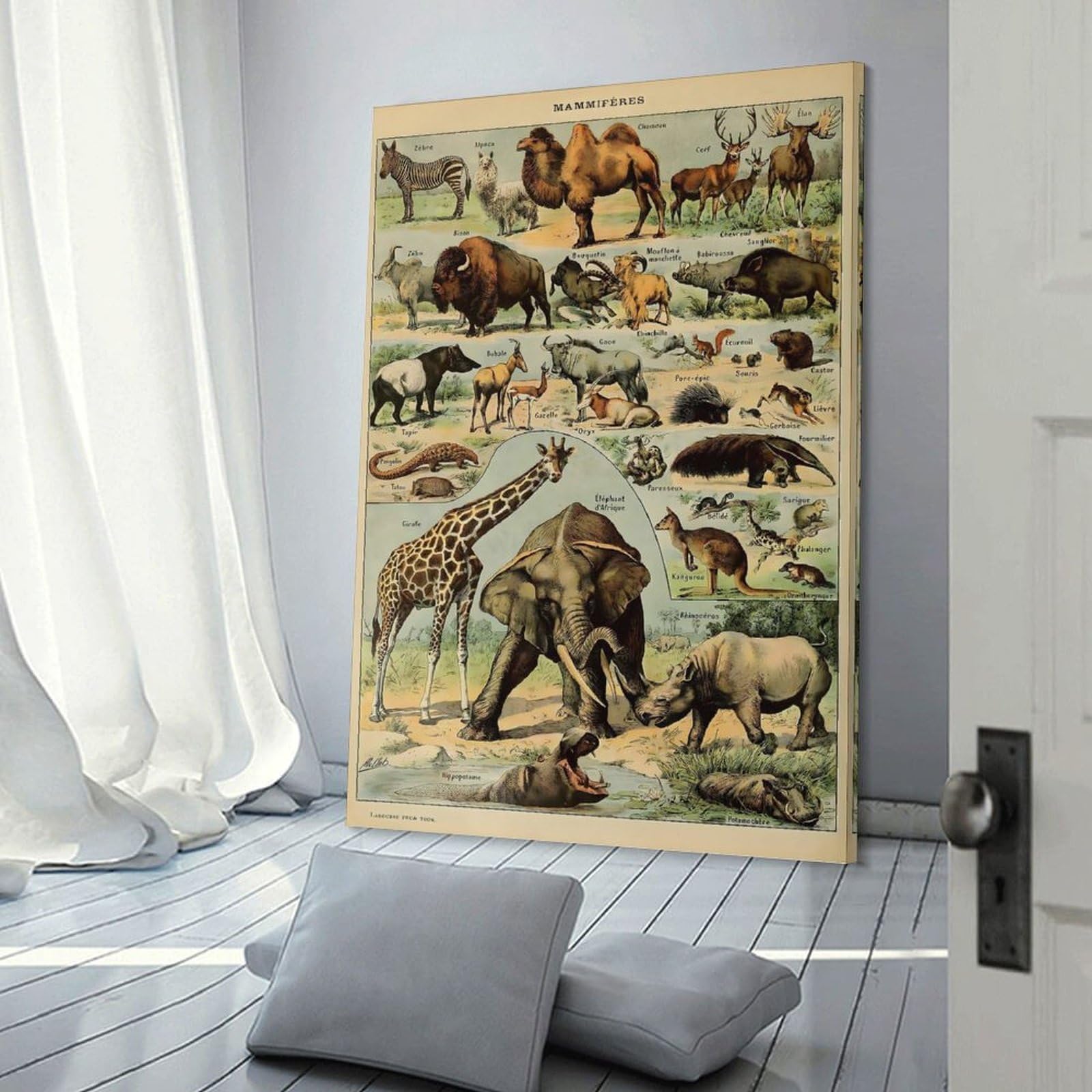 Junmoney Adolphe Millot Mammals V1 Home Decor Wall Art, 20x30inch(50x75cm), for Apartment Walls, Studios Or Work Areas, Stylish Wall Art for Fresh Spaces