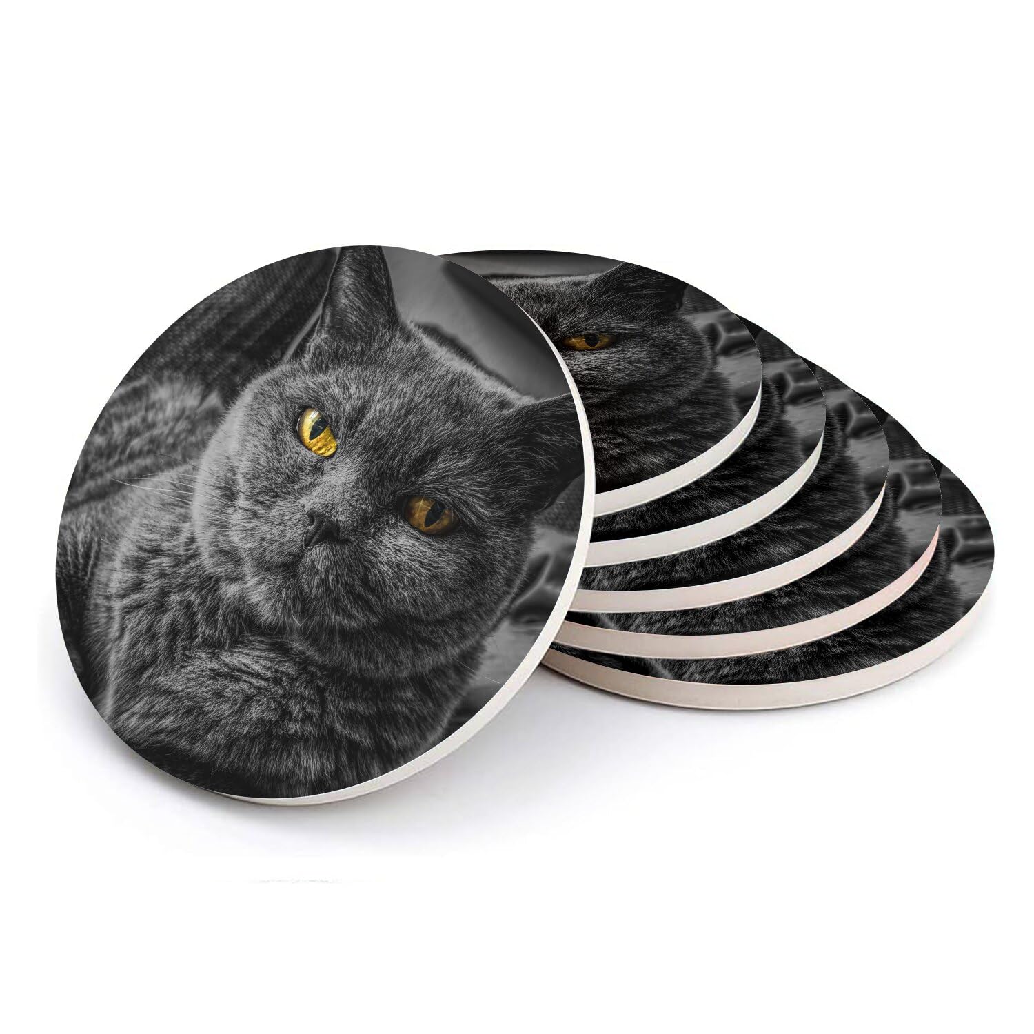 Sous verre ronds en céramique chat Chartreux anti tache table