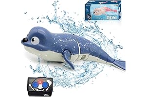 KidsPoolToy: Amphibious Seal Floating Fish Car Toy