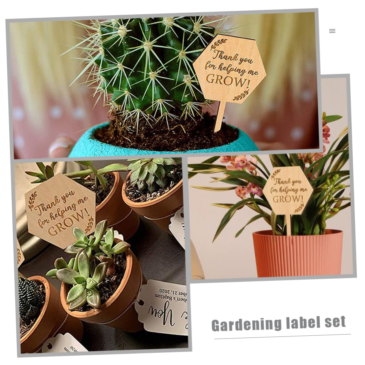 TOYANDONA 5 Sätze Holzetikett Saftige Etiketten Name Gartenmarkierung Outdoor- Kräuterbezeichnungen Pflanzenidentifikationsetikett Gartenpflanzenmarker Holzpflanzenmarker 40 Stück * 5