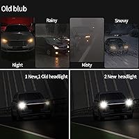 Vista 5 de Bombilla halógena H1 para faros delanteros, 5000 K, luz súper blanca, reemplazo de larga vida útil P14.5S 12V/55W (H1, 2 unidades)